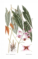  no thumbnail available