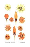  no thumbnail available