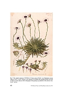  no thumbnail available