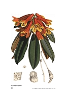  no thumbnail available