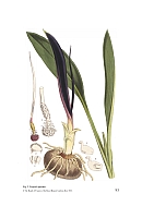  no thumbnail available