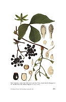  no thumbnail available