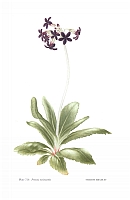  no thumbnail available