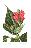  no thumbnail available