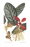  no thumbnail available