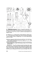  no thumbnail available