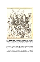  no thumbnail available