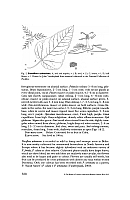  no thumbnail available