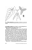  no thumbnail available