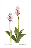  no thumbnail available