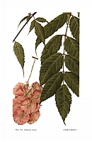  no thumbnail available