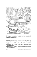  no thumbnail available