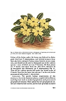  no thumbnail available