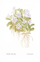  no thumbnail available