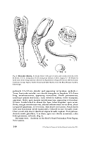  no thumbnail available