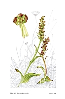  no thumbnail available