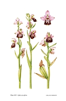  no thumbnail available