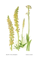  no thumbnail available