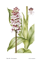  no thumbnail available