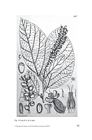  no thumbnail available