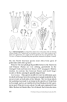  no thumbnail available