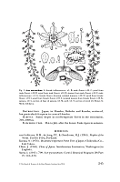  no thumbnail available