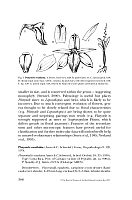  no thumbnail available