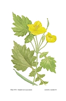  no thumbnail available