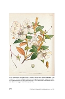  no thumbnail available