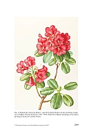  no thumbnail available