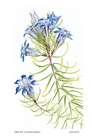  no thumbnail available