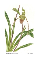  no thumbnail available