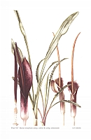  no thumbnail available