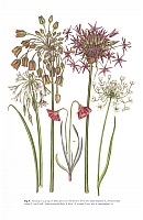  no thumbnail available