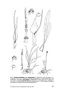  no thumbnail available