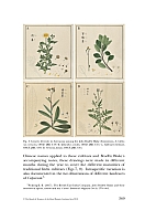  no thumbnail available