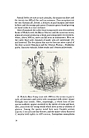  no thumbnail available