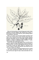  no thumbnail available