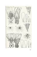  no thumbnail available