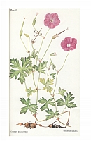  no thumbnail available