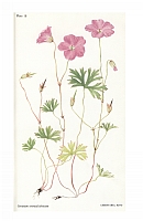  no thumbnail available