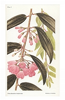  no thumbnail available