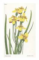  no thumbnail available