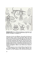  no thumbnail available