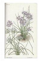  no thumbnail available