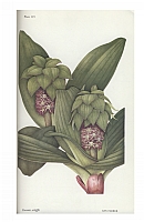  no thumbnail available