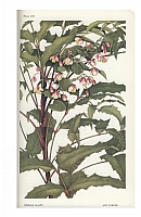  no thumbnail available