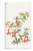  no thumbnail available