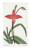  no thumbnail available