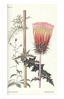  no thumbnail available